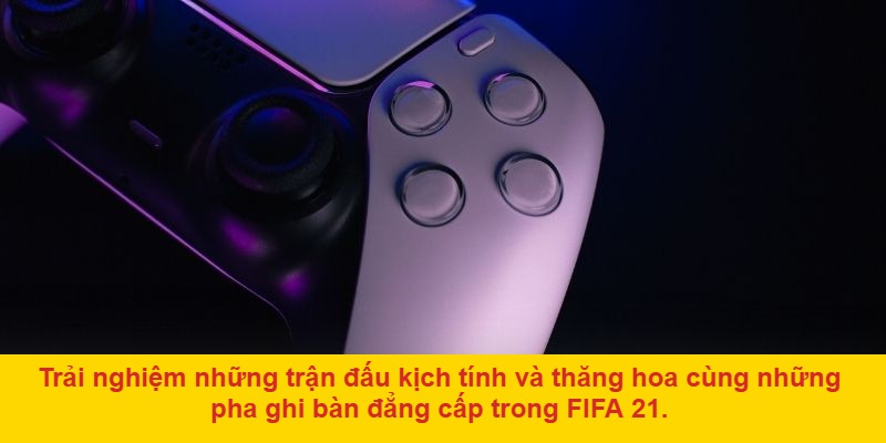 Tính năng Cross-Platform và nâng cấp miễn phí